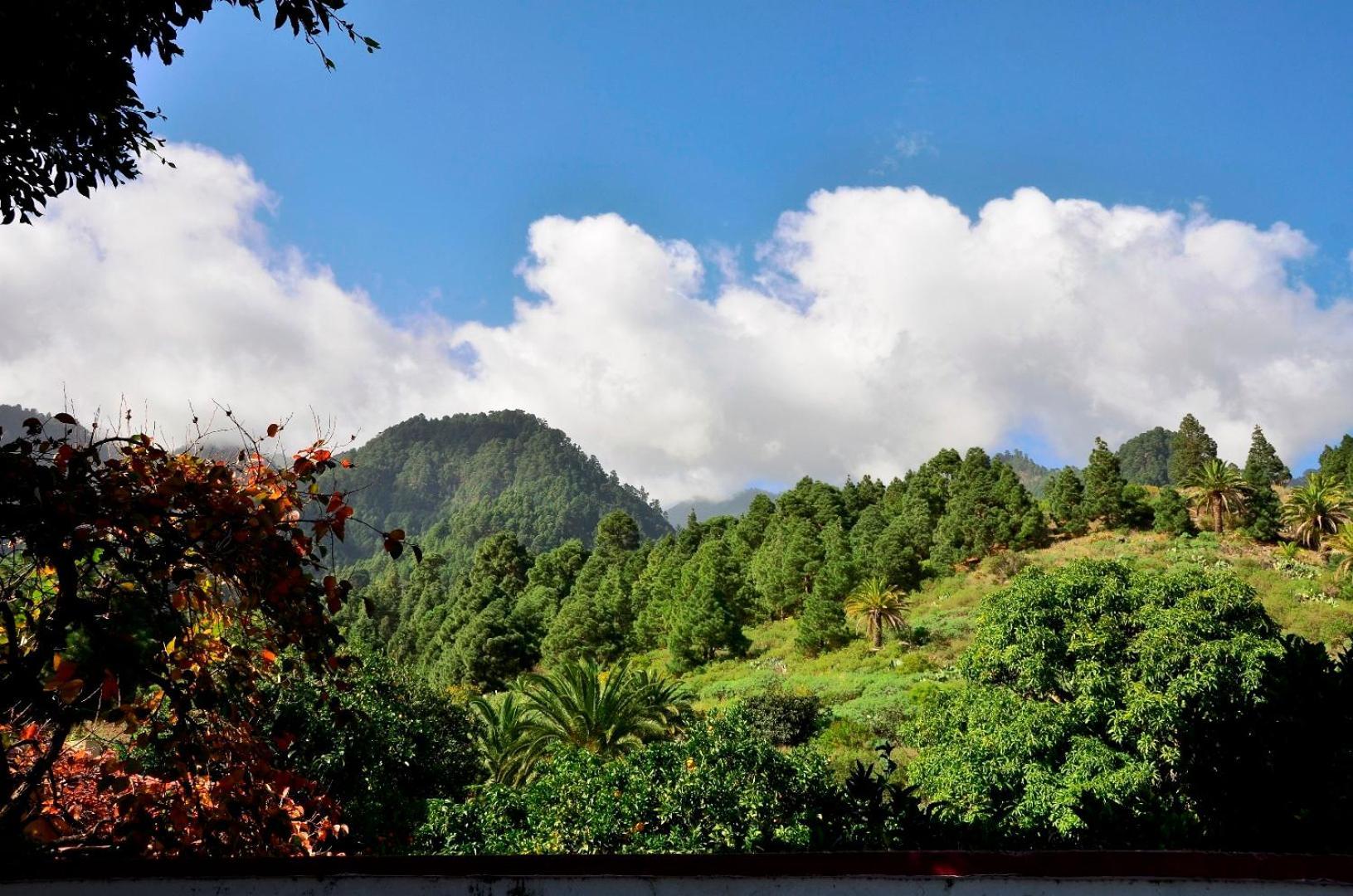 Casa Finca Avocado Los Llanos De Aridane Zewnętrze zdjęcie